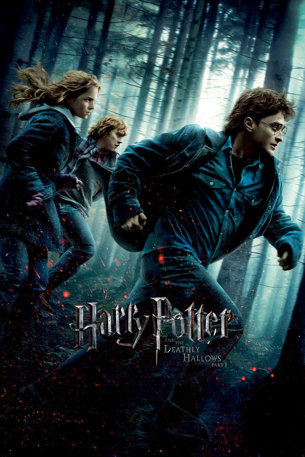 Harry Potter and the Deathly Hallows: Part 1 (2010)