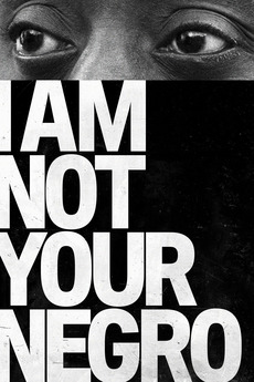 I Am Not Your Negro (2016)